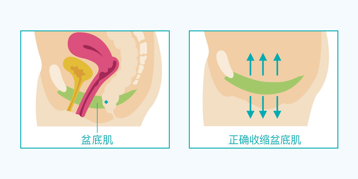 为什么产后下面会下垂？日常生活中应该要注意这3种情况(图3)